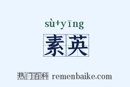 素英是什么意思的图片